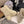 CC 26 Quilted Lace-up Boot Cream Black Suede Calfskin