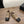CC 26s Loafer 2cm Black Taupe Leather 910474