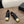 CC 26s Loafer 2cm Black Gold Leather 910475