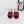 CD 26s Slippers Burgundy Beige Cowhide 681590