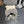KNITTED BEANIE HAT WITH CUTE EARS IN WHITE MIX GRAY WOOL 403484