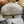 BERET HAT IN BEIGE FABRIC 420943