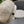 BERET HAT IN BEIGE FABRIC 420943