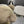 BEANIE HAT IN PARCHMENT BEIGE WOOL AND LAMB FUR 427794