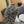BAKER BOY CAP IN BLACK MIX WHITE FABRIC 431519