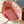 NEVERFULL MM 31 IN CORAL MONOGRAM TILES CANVAS