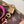 LV x TM Speedy Bandouliere 25cm Sakura Brown Cherry Blossom Monogram Canvas