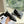 CC Moccasins Glossy Black Chain Lambskin