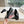 DC 25 Mary Jane Loafers Black Sheepskin 116941