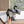 CAGOLE HIGH-HEEL SANDALS IN BLACK LAMBSKIN