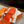 BUCKLE SANDAL BRIGHT ORANGE CALFSKIN