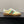 GG & ADIDAS SNEAKER KHAKI CALFSKIN