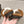 CC SLIPPERS IN CIDER BROWN MIX WHITE FLEECE
