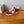 BALL STAR SNEAKERS WHITE STAR IN RED SUEDE AND CALFSKIN