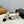 cc 25c slingback 90 pink white tweed black grosgrain 233619