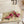 BV 26s Stretch Lace-Up Sandal 9cm Punch Pink Metallized Mesh Leather