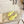 LV Neo Revival Flat Mule Lemon Yellow Lambskin