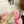 LP 26s Lock Charm Mules In Pink Suede