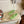 LP 26s Lock Charm Mules In Light Green Suede
