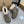 UGG 25ss Ankle Boots Muted Grey Sheep Fur Suede 523104