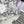 Dior 25C Short Toile de Jouy Scotland Pattern 228386