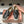 Miumiu Beige and Black canvas leather loafer 227140