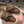 Miumiu Beige and Brown canvas leather loafer 227141