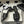 25S Embroidery Double C Mule 50mm Black Lambskin 247577