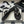 CC 25P Double C 5 Motifs Thongs Sandal Black Sheepskin 247697