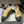 CC 25K Thick-Soled 45mm Loafer Beige Black Lambskin 247705