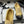 25K Double C Buckle Thick-Soled 25mm Loafer Beige Black Lambskin 247708