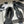 CC 25P Small Hollow Mary Jane Black Sheepskin Grosgrain 247725