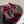 CC 25S Double C Rhinestone Buckle Bow High Heel Pump 85 Wine Velvet 247569