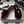 CC 25S Chain Ring Edge Buckle Bag Mule Sandal Wine Velvet 247584