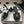 CC 25S Buckle Bag Mule Sandal 50mm Black Fabric and Sheepskin 247600
