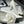 CC 25C Classic Camellia Pointed High Heels Pump 85mm White Suede 247616
