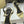 The Row 25S Strap High Heel Sandals 85mm Beige Sheepskin 286191