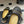 CC 25A Chain CC Thick-Soled Shoe 40mm Black Sheepskin 393956