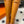 HM Jumping Boots Caramel Brown Kelly Buckle Cowhide Leather