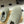 UGG Elea Slip-On Sandals Grayish Olive Wool Suede 525946