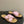 CC 26 Criss-cross Strap Slipper Pink Beige Sheepskin 593301