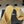 CC 26 Criss-cross Strap Slipper Beige Sheepskin 593302