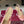 GG 26ss Big D Half HorseBit Mary Jane Pink Patent Leather 593502