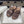 Pra 26s Flatform Slides Brown Matelassé Leather 834767.