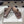 Pra 26s Flatform Slides Brown Matelassé Leather 834767.