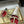 VT Rockstud Kidskin Pump 100mm Gold Sheepskin 835109