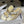 CD J'Adior Wedge Slide Straps Cream Beige Leather 834937