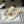 CD J'Adior Mules Cream Beige Leather 834935