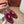 Loro Piana Charms Walk Flat Mules Burgundy Suede 623547