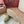 Loro Piana Charms Walk Flat Mules Olive Green Suede 623441